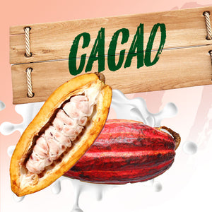 Cacao Juice (NFC, Aseptic) 1x44 lbs net